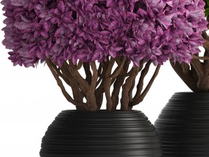 ornamental tree 3D मॉडल