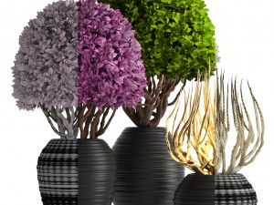 ornamental tree 3D मॉडल