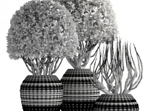 ornamental tree 3D मॉडल