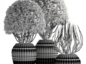 ornamental tree 3D Model