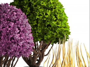 ornamental tree 3D मॉडल