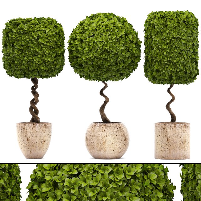 topiary trees 3D 모델 .c4d .max .obj .3ds .fbx .stl .blend 