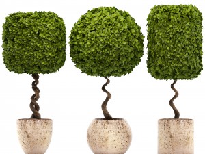 topiary trees 3D 모델