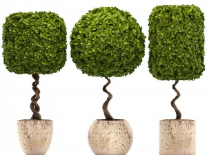 トピアリーの木 3Dモデル