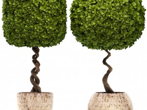 topiary trees 3D 모델