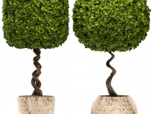 トピアリーの木 3Dモデル