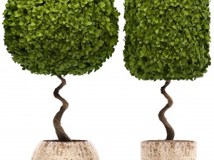 topiary trees 3D 모델