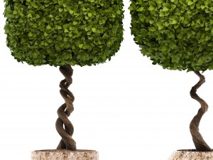 topiary trees 3D 모델