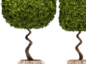 topiary trees 3D 모델