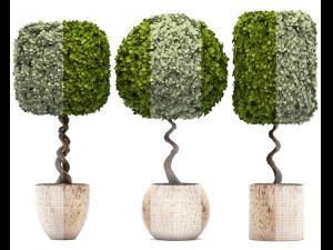 topiary trees 3D 모델