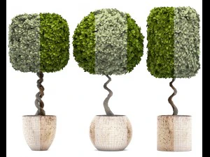 トピアリーの木 3Dモデル