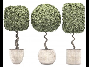 topiary trees 3D 모델