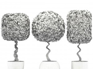 topiary trees 3D 모델