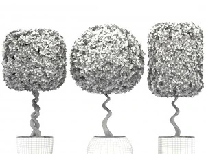 トピアリーの木 3Dモデル