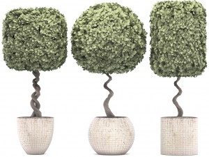topiary trees 3D 모델