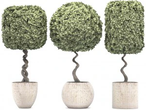 トピアリーの木 3Dモデル