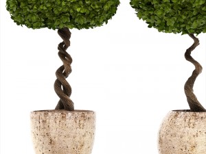 topiary trees 3D 모델