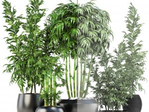 bamboo trees 3D 模型