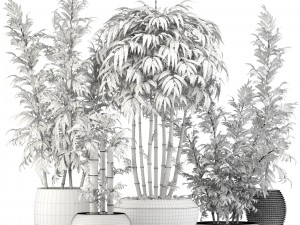 bamboo trees 3D 模型