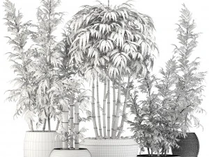 bamboo trees 3D Model