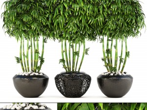 bamboo trees Modelo 3D