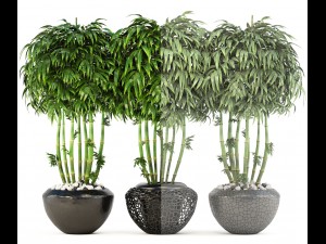 bamboo trees 3D Model