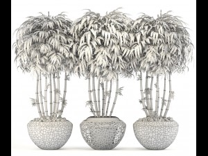 bamboo trees 3D Model