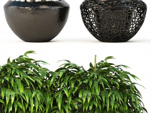 bamboo trees 3D Model