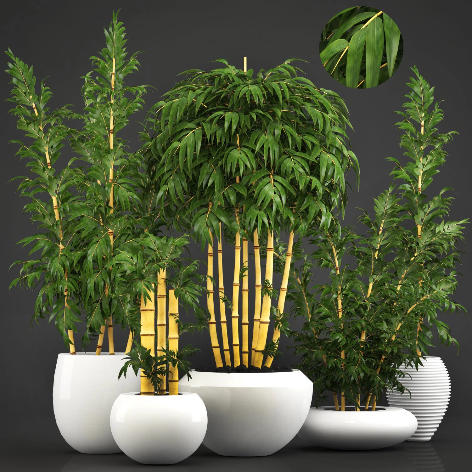 golden bamboo trees 3D Model .c4d .max .obj .3ds .fbx .stl .blend