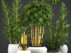 golden bamboo trees 3D Model
