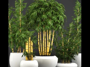 golden bamboo trees 3D Model