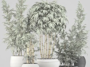 golden bamboo trees 3D Model