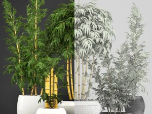 golden bamboo trees 3D Model