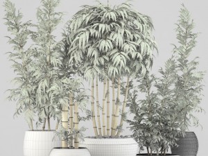 golden bamboo trees 3D मॉडल