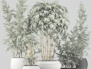 golden bamboo trees 3D Model