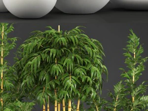 golden bamboo trees 3D Model