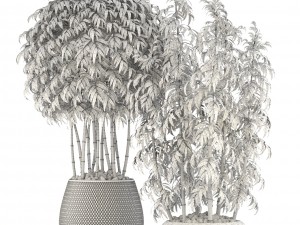 bamboo trees Model 3D