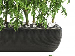bamboo trees 3D मॉडल