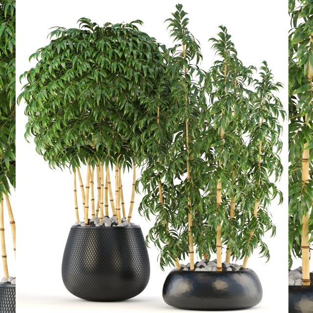 golden bamboo trees 3D Model .c4d .max .obj .3ds .fbx .stl .blend 