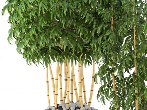 golden bamboo trees 3D Model