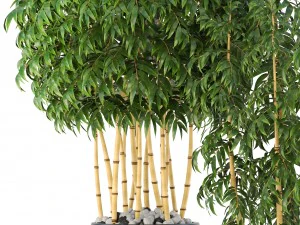 golden bamboo trees 3D Model