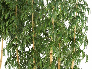 golden bamboo trees 3D Model