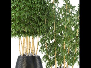 golden bamboo trees 3D Model