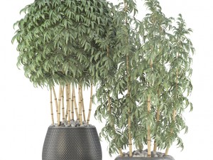 golden bamboo trees 3D Model