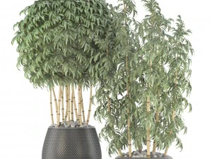 golden bamboo trees 3D Model