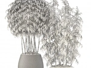 golden bamboo trees 3D Model