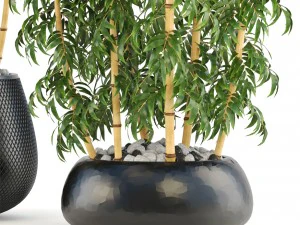 golden bamboo trees 3D Model