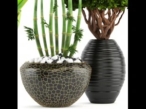 collection of tropical plants 3D Model