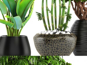 collection of tropical plants 3D 模型