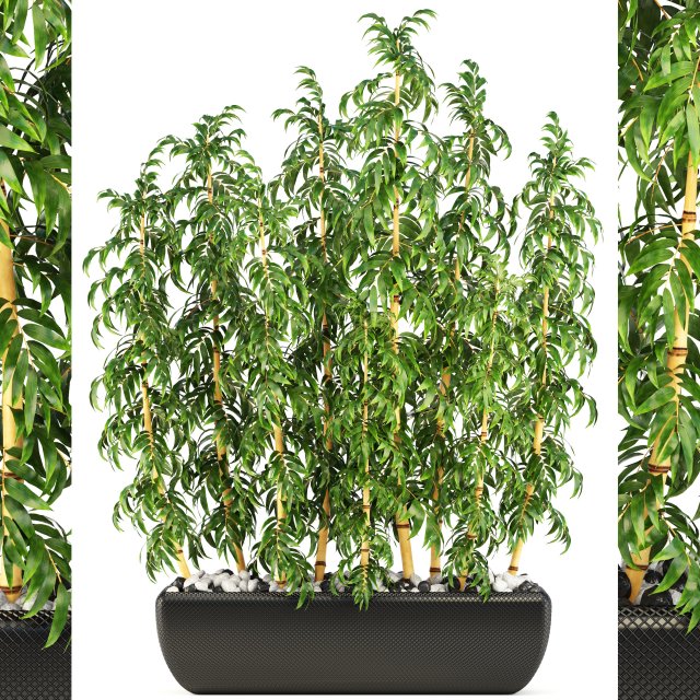 golden bamboo trees 3D Модель .c4d .max .obj .3ds .fbx .stl .blend 